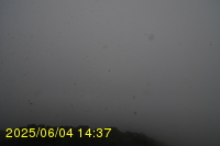 Img20250604_143751.jpg