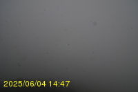 Img20250604_144751.jpg