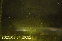 Img20250604_203252.jpg