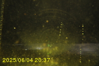 Img20250604_203752.jpg