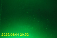 Img20250604_205252.jpg