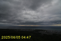 Img20250605_044754.jpg