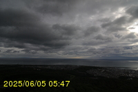 Img20250605_054754.jpg