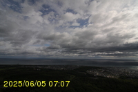 Img20250605_070754.jpg
