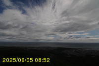 Img20250605_085254.jpg
