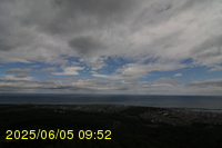 Img20250605_095255.jpg