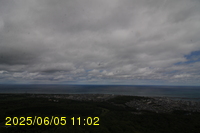 Img20250605_110255.jpg