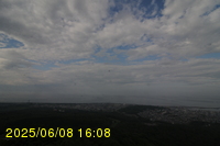 Img20250608_160808.jpg
