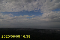 Img20250608_163808.jpg