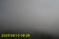Img20250610_083815.jpg