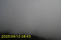 Img20250610_084315.jpg