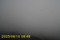 Img20250610_084815.jpg