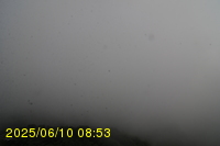 Img20250610_085315.jpg