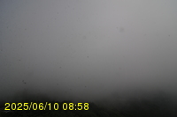 Img20250610_085815.jpg