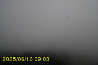 Img20250610_090315.jpg