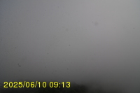 Img20250610_091315.jpg