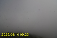 Img20250610_092315.jpg