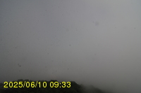 Img20250610_093315.jpg