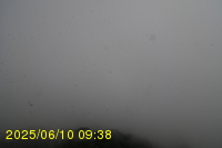Img20250610_093815.jpg