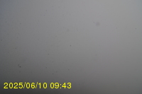 Img20250610_094315.jpg