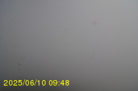 Img20250610_094815.jpg
