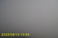 Img20250610_100315.jpg