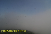 Img20250610_101315.jpg