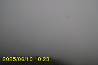 Img20250610_102315.jpg