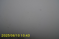 Img20250610_104315.jpg