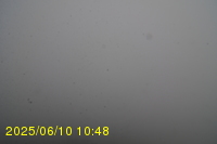 Img20250610_104815.jpg