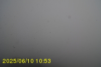 Img20250610_105315.jpg