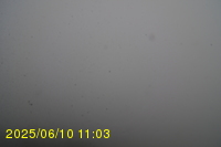 Img20250610_110315.jpg