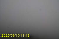 Img20250610_114316.jpg
