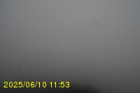Img20250610_115316.jpg