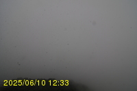 Img20250610_123316.jpg
