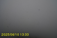 Img20250610_133316.jpg