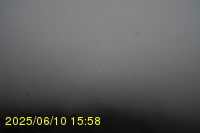 Img20250610_155816.jpg