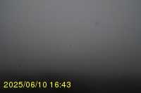 Img20250610_164316.jpg