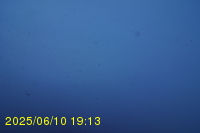 Img20250610_191317.jpg