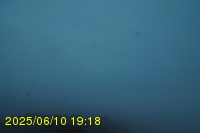 Img20250610_191817.jpg
