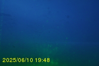 Img20250610_194817.jpg