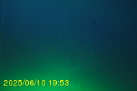 Img20250610_195317.jpg