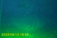 Img20250610_195817.jpg