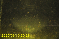 Img20250610_202817.jpg