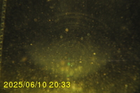 Img20250610_203317.jpg