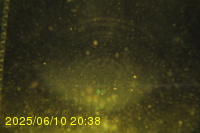 Img20250610_203817.jpg