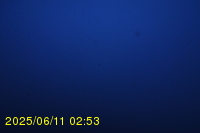 Img20250611_025318.jpg