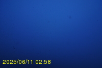 Img20250611_025818.jpg