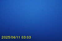 Img20250611_030318.jpg