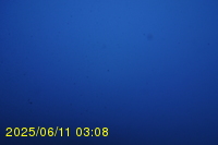 Img20250611_030818.jpg